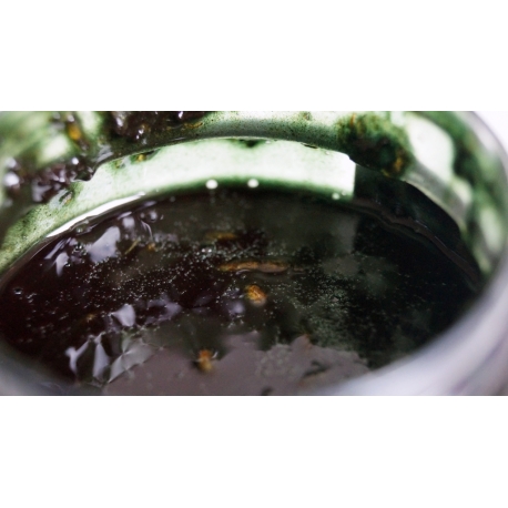 Liquid Soak Enhancer Green Bugs